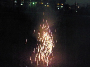 花火201107232126000.jpg